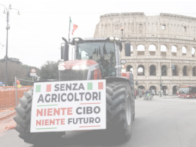 Progetto del Master 19